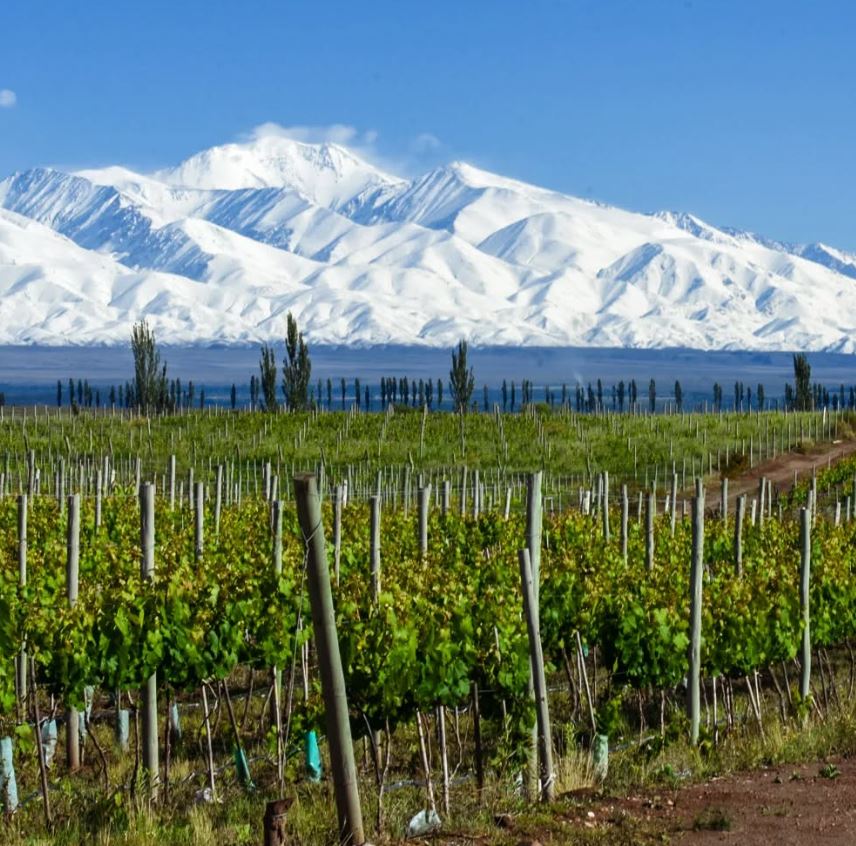 La Coste de Los Andes