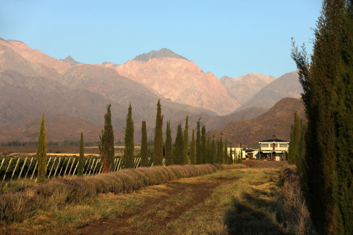 Chateau La Coste UK